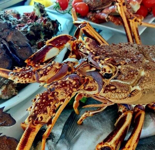 Ristorante Porto Adriano