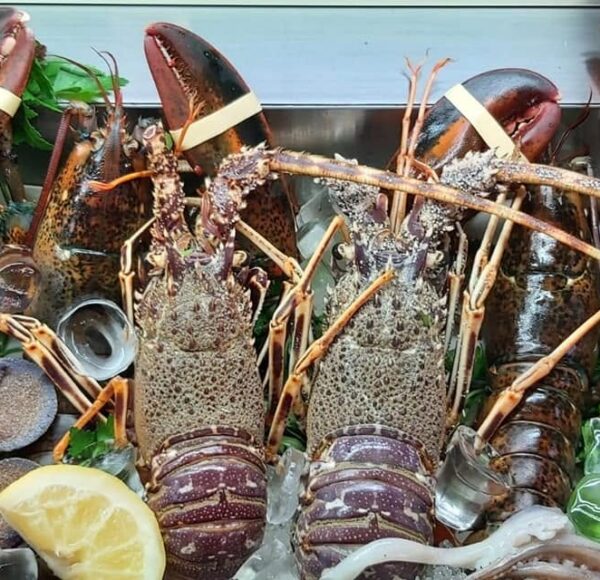 Osteria da Cosimino